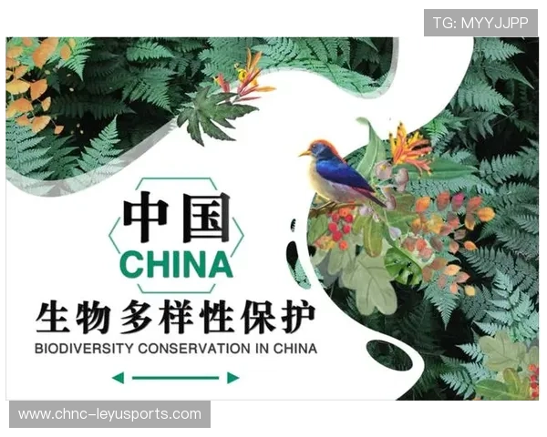 多特蒙德聚焦核心战略：留住关键力量，保障未来连续性